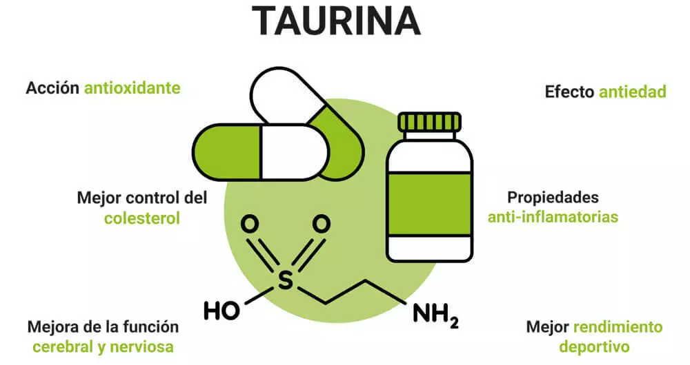 ¿Qué es la taurina? Tu Naturópata en Mijas y Fuengirola
