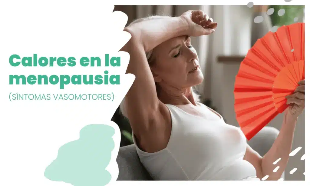 menopausia 1 Menopausia y Medicina Natural: Cómo la Naturopatía y la Medicina Ortomolecular Mejoran la Vida de las Mujeres